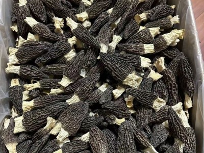 云南深山头茬大号羊肚菌干货 剪柄细纹特产食用菌菇类煲汤料滋补图4
