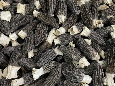 高山云南羊肚菌干货 剪柄羊肚菌足干货食用煲汤滋补菌类 一件代发图3