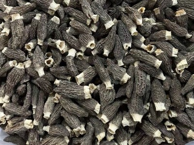 高山云南羊肚菌干货 剪柄羊肚菌足干货食用煲汤滋补菌类 一件代发图4