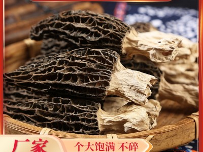 干羊肚菌批发代发煲汤食材羊肚菌菌菇干货菌菇散货羊肚菌量大从优图2