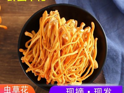 虫草虫草花鲜货鲜湿虫草花金北蛹菇孢子头类煲汤食材非干货批发图4