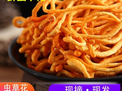 虫草虫草花鲜货鲜湿虫草花金北蛹菇孢子头类煲汤食材非干货批发图2