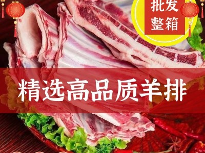 羊排新鲜带皮切块骨批发冷冻尖新鲜羊肉整箱肋排厂家批发代发图2