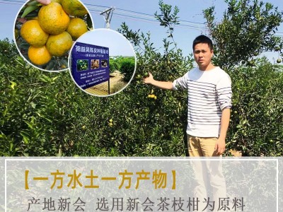 【德益昊】新会陈皮不同年份陈皮老陈皮值得收藏拿样样品图4