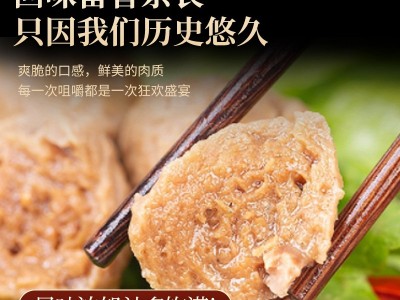 佳尚发正宗潮汕手打牛肉丸汕头特产牛筋丸丸子火锅烧烤关东煮批发图2