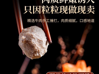 佳尚发正宗潮汕手打牛肉丸汕头特产牛筋丸丸子火锅烧烤关东煮批发图3