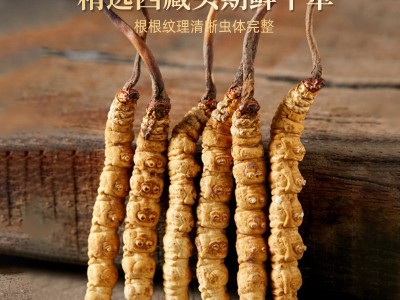 西藏那曲冬虫夏草中国药材 国药领航央企保障精选虫草10克礼盒装图2