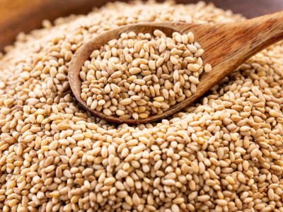 白芝麻400g瓶装调味品撒料农家低温烘焙家用商用即食熟芝麻批发图3