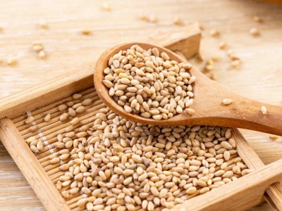 白芝麻400g瓶装调味品撒料农家低温烘焙家用商用即食熟芝麻批发图4