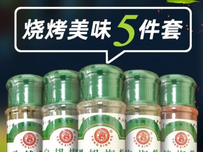 瓶装烧烤调料组合孜然粉白胡椒花椒辣椒粉火锅家用炒菜调味料可定图3