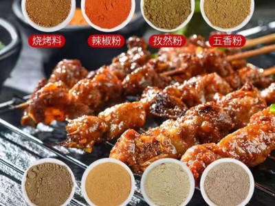 瓶装烧烤调料组合孜然粉白胡椒花椒辣椒粉火锅家用炒菜调味料可定图4