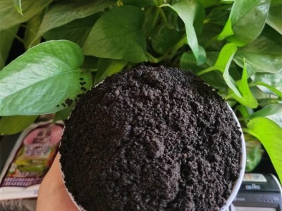 大棚蔬菜种植用发酵鸡粪 丰地高温腐熟鸡 粪有机肥 工厂供应图3