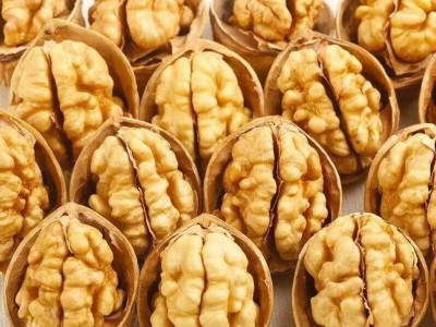 四川特产大凉山原味山核桃薄皮坚果5斤9斤装核桃大优产地直发图5