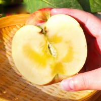 新疆阿克苏苹果 代发3/8斤新鲜应季水果冰糖心脆甜红富士苹果