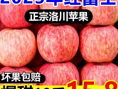 陕西洛川高山红富士苹果当季新鲜孕妇水果脆甜10斤产地 整箱批发图3