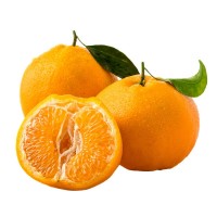 正宗四川春见耙耙柑橘子5斤礼盒新鲜水果橘子粑粑柑现摘一件代发