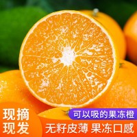 四川爱媛38号果冻橙新鲜采摘当季橙子薄皮爆汁水果爱媛橙子果冻橙