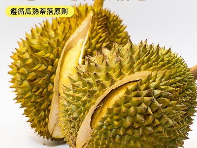 越南榴莲新鲜顺丰可选水果巴掌肉整果鲜果当季整箱包邮可批发图4