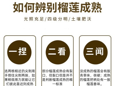 越南榴莲新鲜顺丰可选水果巴掌肉整果鲜果当季整箱包邮可批发图2