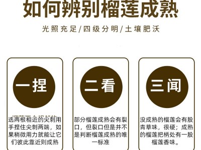新鲜金枕榴莲肉500g/袋包邮水果泰国越南顺丰冷冻真空包装可批发图4