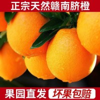 赣南脐橙5斤10斤20斤装春节礼盒装现摘橙子批发一件代发果园直发