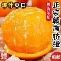 赣南脐橙新鲜橙子水果批发应季特大精品礼盒橙子5斤10斤礼盒装