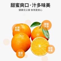 江西正宗赣南脐橙 代发5/10/20斤新鲜水果爆甜多汁鲜橙果橘甜橙子