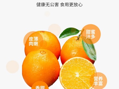 现货正宗赣南脐橙产地直发应季新鲜水果高山脐橙时令孕妇甜橙图2