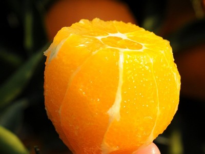 江西赣南脐橙新鲜橙子皮薄5 10 20斤果园现摘橙子 产地大量批发图4