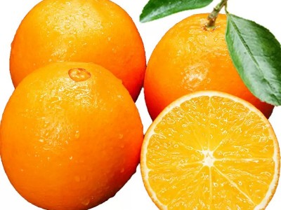 江西赣南脐橙新鲜橙子皮薄5 10 20斤果园现摘橙子 产地大量批发图5