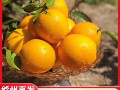 【产地直发】正宗赣南脐橙江西橙子20斤现摘薄皮当季孕妇新鲜水果图2