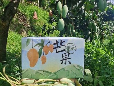 攀枝花小金煌核薄肉质厚5斤8斤普箱礼盒装一件无痕代发现货速发图4