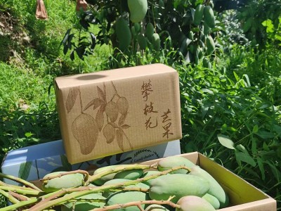 攀枝花小金煌核薄肉质厚5斤8斤普箱礼盒装一件无痕代发现货速发图3