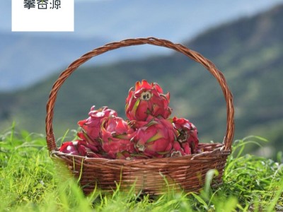 现货速发攀西大地红有机红心火龙果新鲜采摘孕妇水果批发5斤装图2