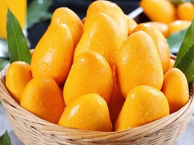 海南小台农小台芒新鲜应季孕妇水果当季香甜多汁芒果批发一件代发图2