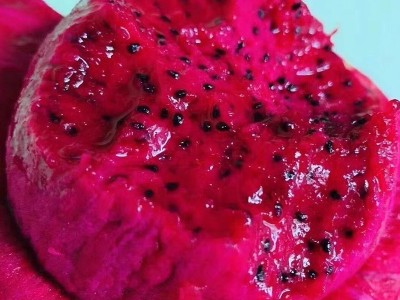 海南金都一号红心火龙果新鲜当季水果非越南广西红心大果一件代发图2