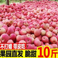 【全年款】陕西红富士特大苹果新鲜应季水果脆甜多汁洛川当季批发