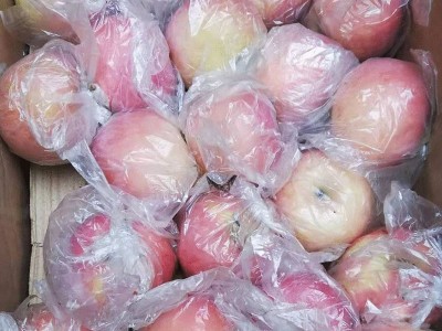 【全年款】陕西红富士特大苹果新鲜应季水果脆甜多汁洛川当季批发图3