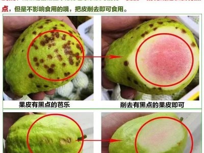 番石榴红心芭乐新鲜水果清甜脆口软糯香甜1/3/5/9斤整箱代发包邮图4
