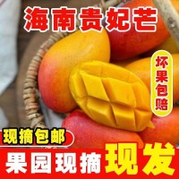 海南贵妃芒香甜多汁新鲜水果3/5/9斤整箱包邮代发