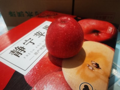 特大85以上静宁精品红富士特大果苹果水果批发一件代发图3
