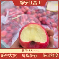 静宁红富士小苹果新鲜苹果65mm苹果水果批发水果一件代发