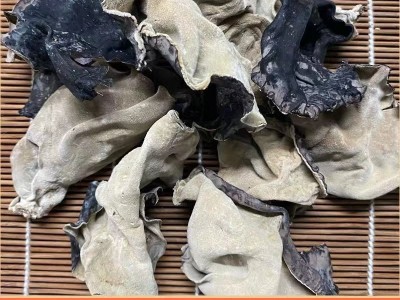 白背木耳干货批发毛肚木耳肉厚片大口感脆爽毛木耳白背木耳图2