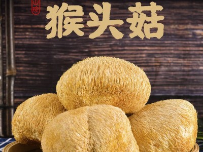 【源头工厂直销】正宗猴头菇福建当季猴头菇猴头菌干货批发代发*图3