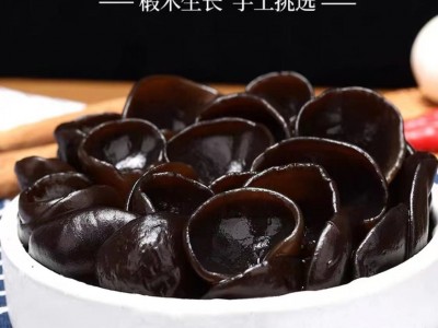 【批发代加工】正宗东北木耳小碗耳云耳黑木耳干货批发一件代发*图5