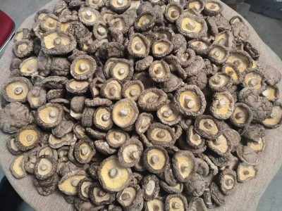 香菇干货批发西峡干香菇特产大厚菇产地直发无干燥剂散装剪根图3