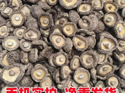 香菇干货批发西峡干香菇特产大厚菇产地直发无干燥剂散装剪根图2
