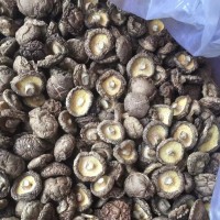 香菇干货批发西峡干香菇特产大厚菇产地直发无干燥剂散装剪根
