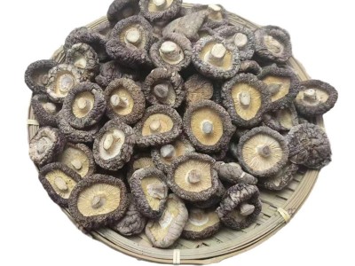 香菇干货批发西峡干香菇特产大厚菇产地直发无干燥剂散装剪根图5