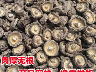 香菇干货批发西峡干香菇特产大厚菇产地直发无干燥剂散装剪根图4